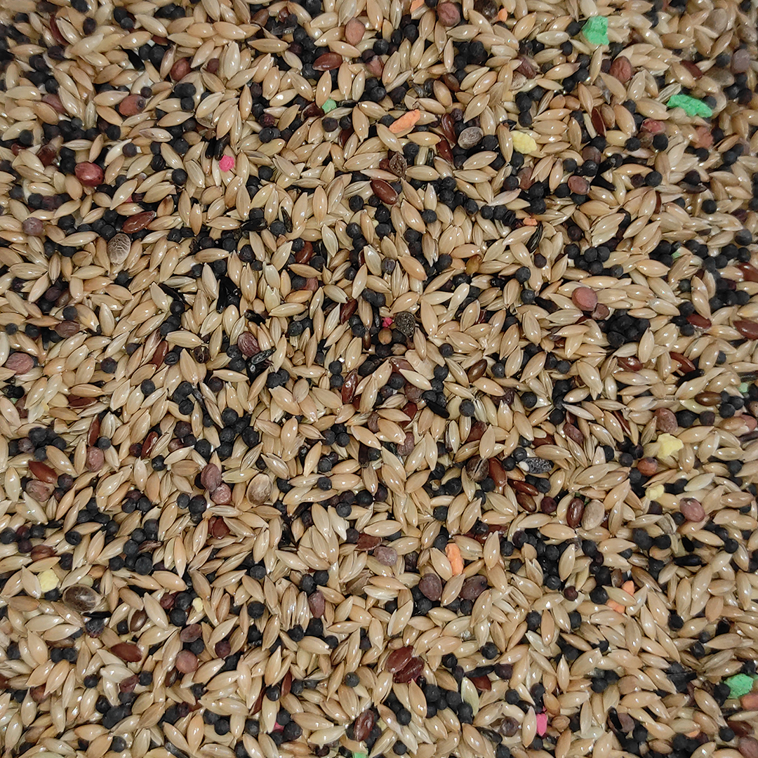 MIXTURA PARA CANARIOS SIN AVENA A GRANEL